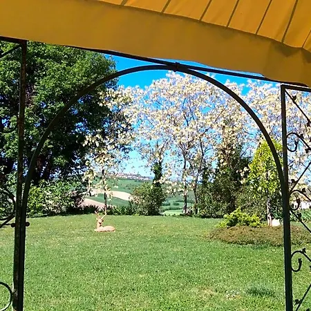 Mikigio 3* Mondavio
